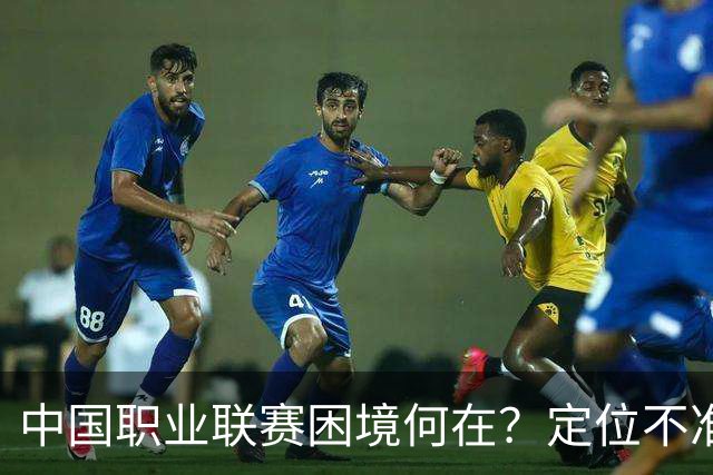 中国职业联赛困境何在？定位不准！理念错位！